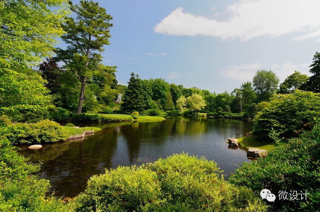 令人流连忘返的杜鹃花园
