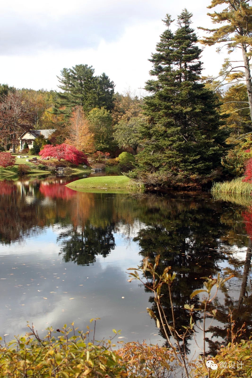 令人流连忘返的杜鹃花园