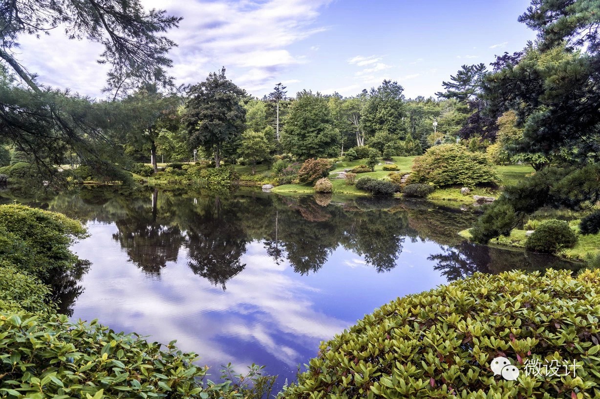 令人流连忘返的杜鹃花园