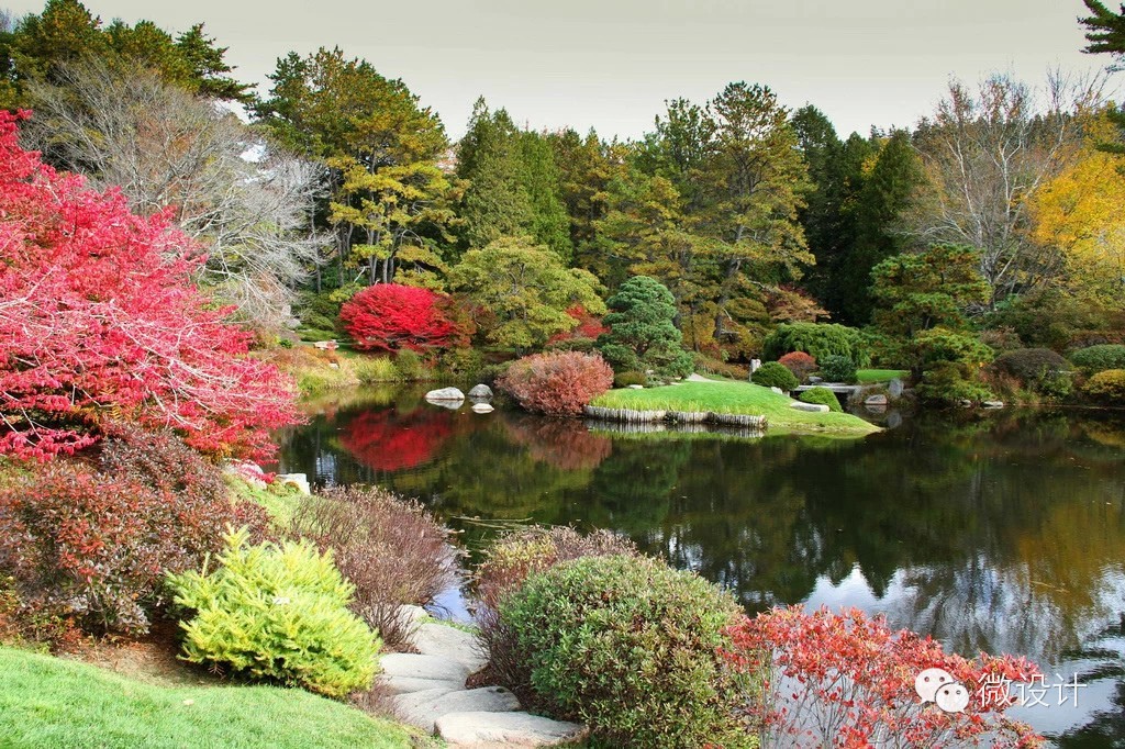 令人流连忘返的杜鹃花园