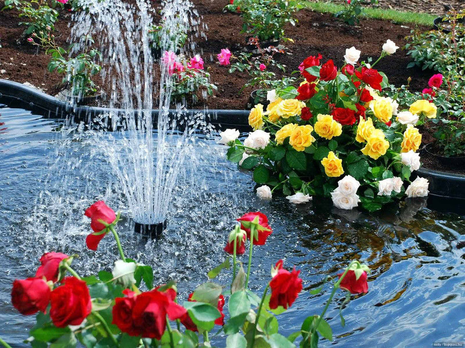 外国的园林园艺欣赏