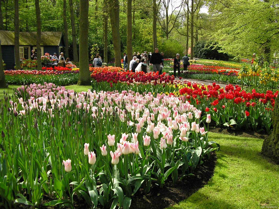 外国的园林园艺欣赏