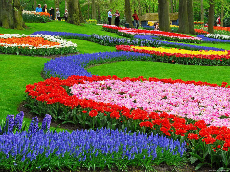 外国的园林园艺欣赏