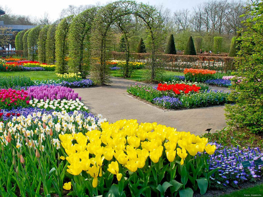 外国的园林园艺欣赏