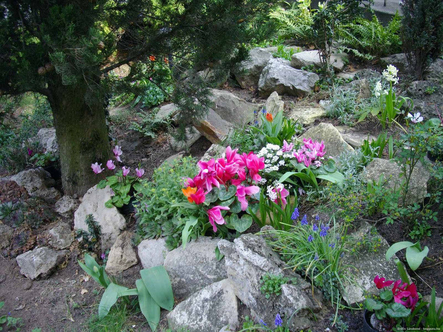 外国的园林园艺欣赏