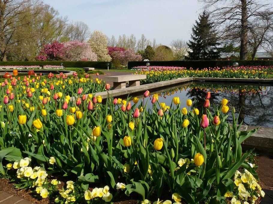 外国的园林园艺欣赏