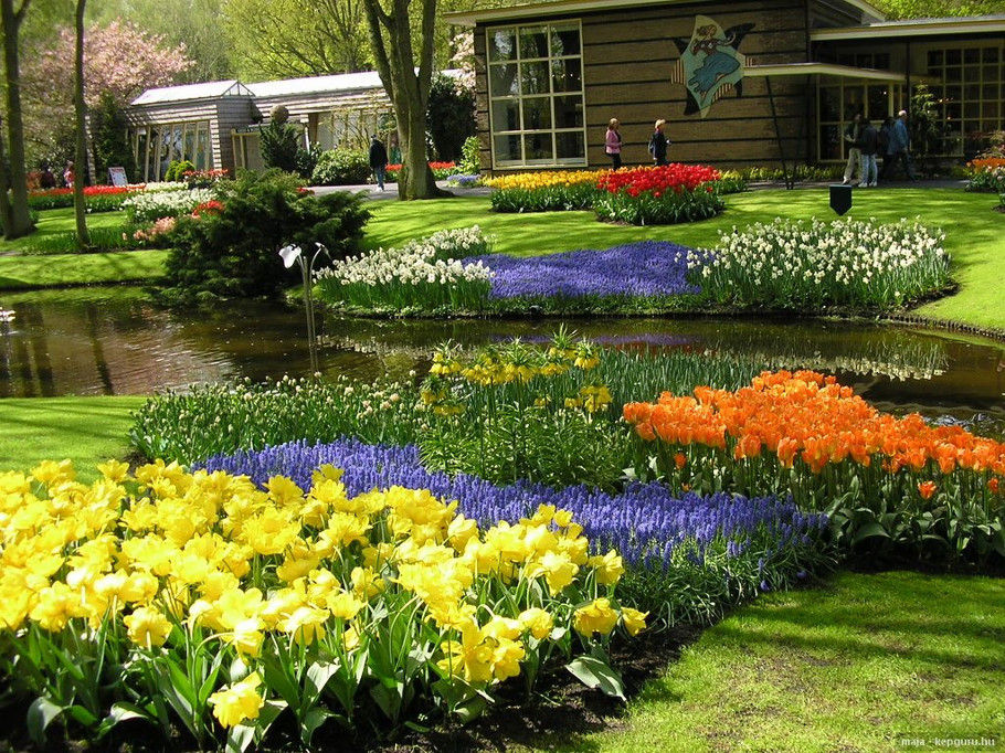 外国的园林园艺欣赏