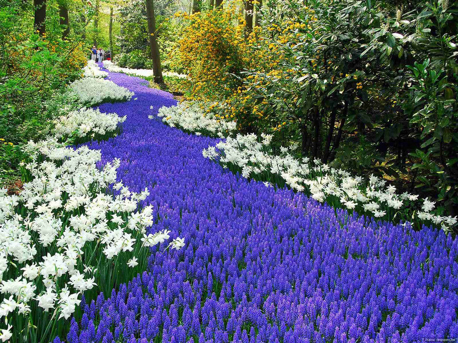 外国的园林园艺欣赏