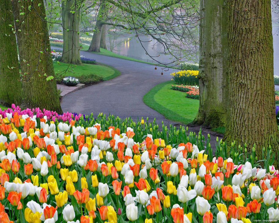 外国的园林园艺欣赏