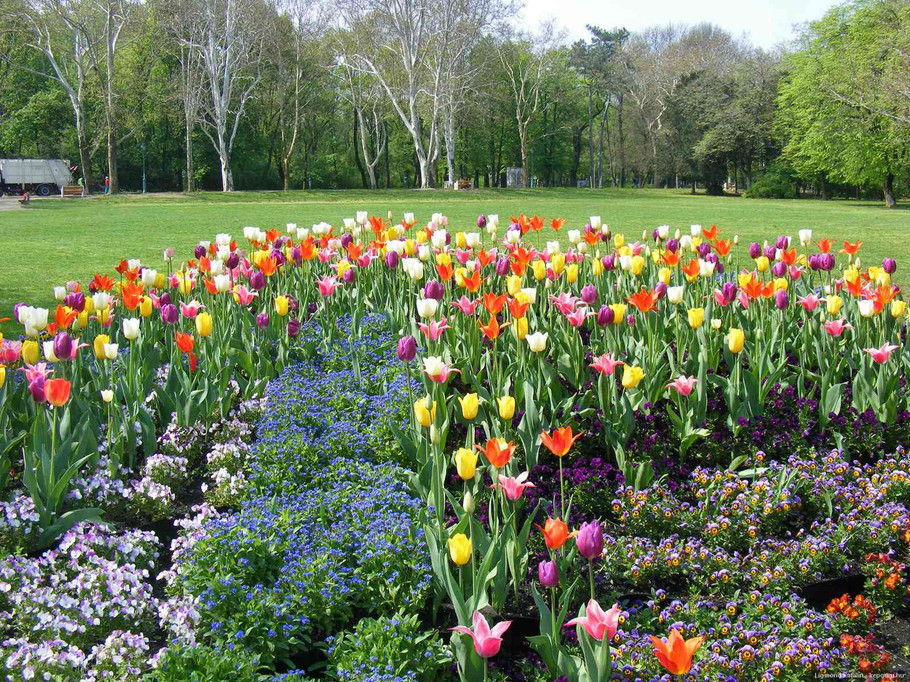 外国的园林园艺欣赏