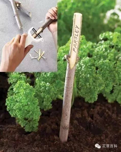 看国外大神教你如何制作植物标签