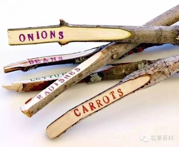 看国外大神教你如何制作植物标签