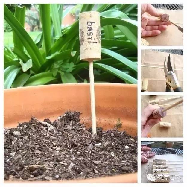 看国外大神教你如何制作植物标签