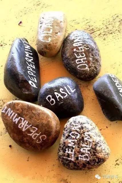 看国外大神教你如何制作植物标签