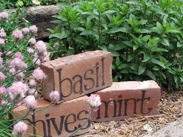 看国外大神教你如何制作植物标签