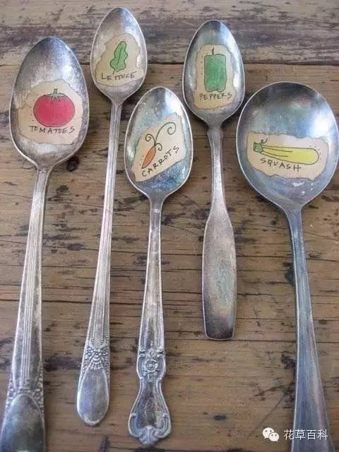 看国外大神教你如何制作植物标签