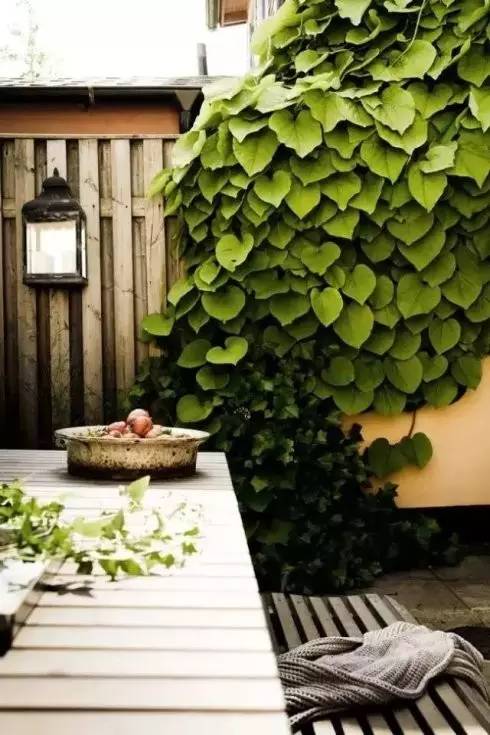 45款 风雅别致的日式民宿庭院