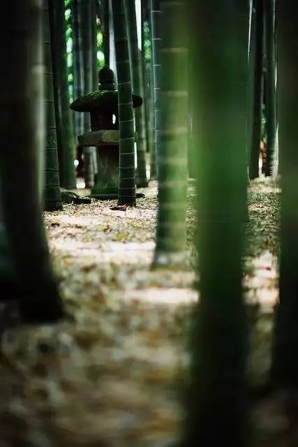 45款 风雅别致的日式民宿庭院