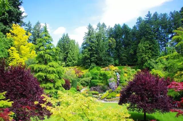 花卉旅游的开发模式及经典案例