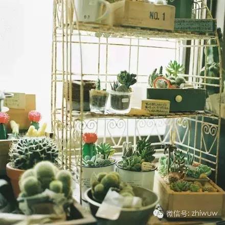 开一家小小的店铺，看出窗外的行人来来往往