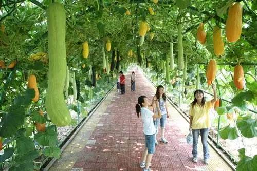 农业+文化+旅游+地产