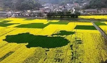 农业+文化+旅游+地产