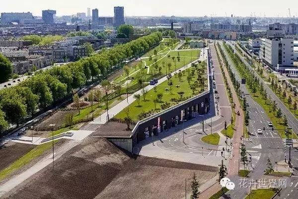 十大全球最棒的绿色屋顶设计