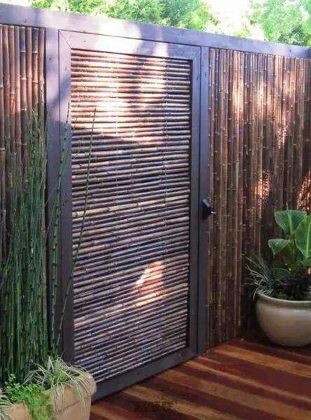 竹藤的魅力 · 清新雅致