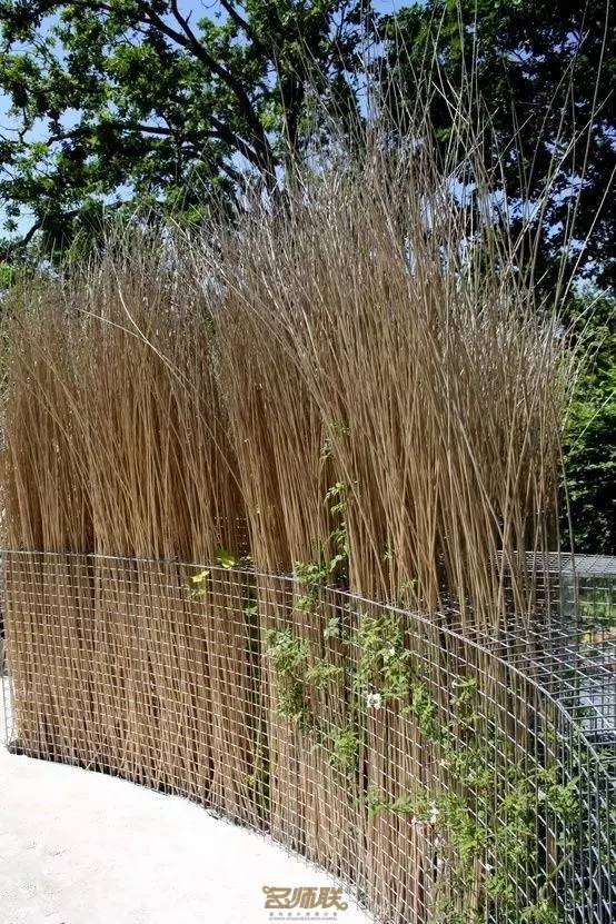 竹藤的魅力 · 清新雅致