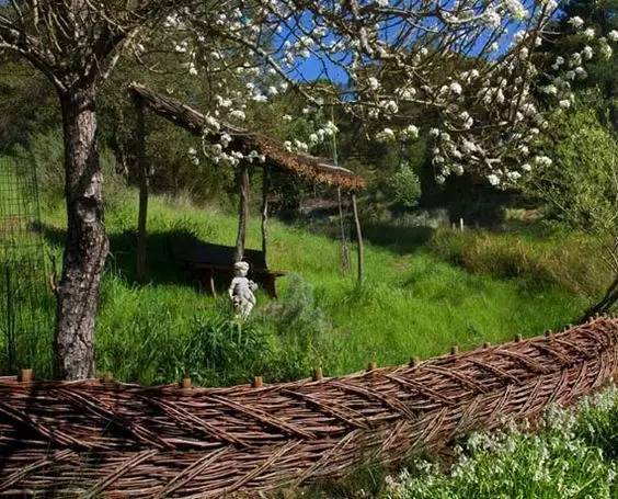 竹藤的魅力 · 清新雅致