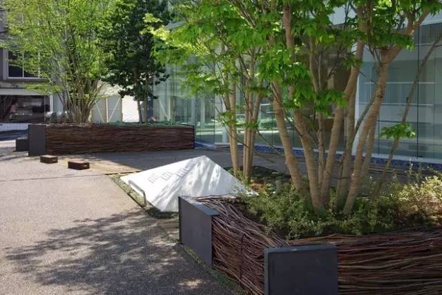 竹藤的魅力 · 清新雅致