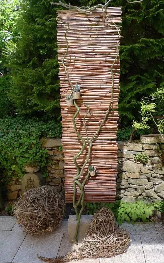 竹藤的魅力 · 清新雅致