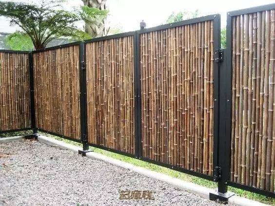 竹藤的魅力 · 清新雅致