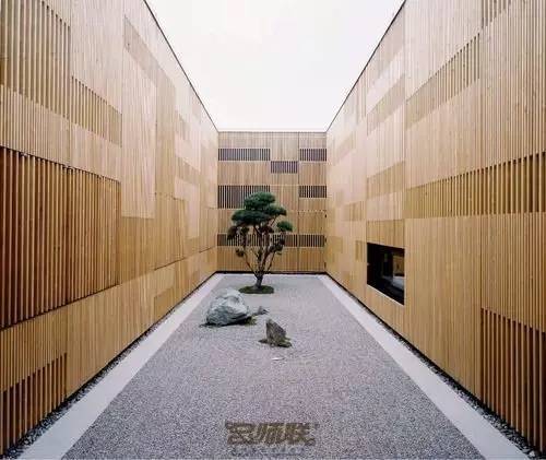 竹藤的魅力 · 清新雅致