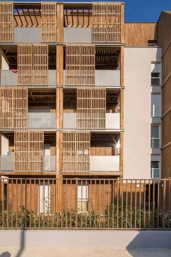 竹藤的魅力 · 清新雅致