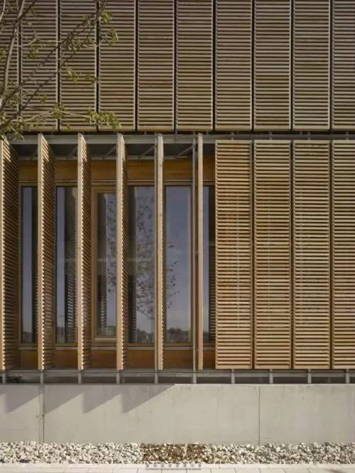 竹藤的魅力 · 清新雅致