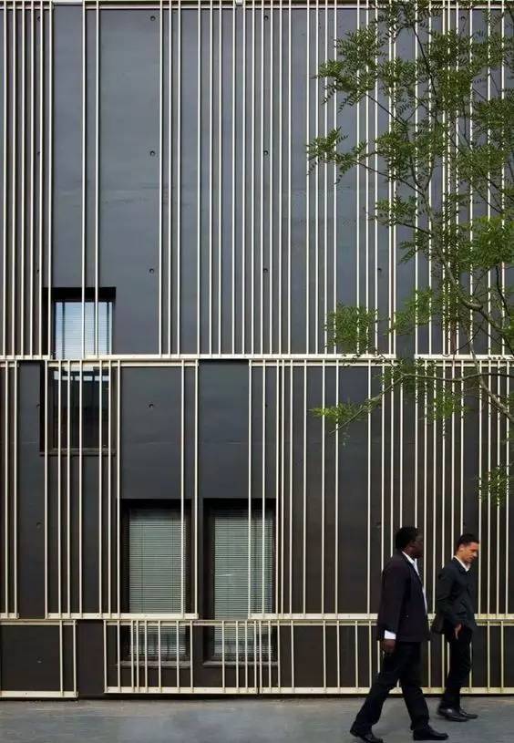 竹藤的魅力 · 清新雅致