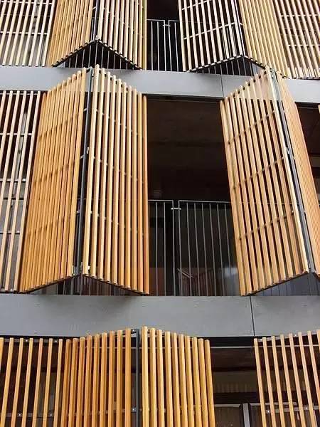 竹藤的魅力 · 清新雅致