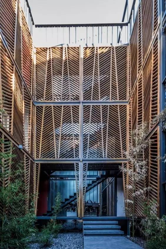 竹藤的魅力 · 清新雅致