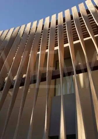 竹藤的魅力 · 清新雅致