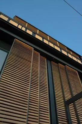 竹藤的魅力 · 清新雅致