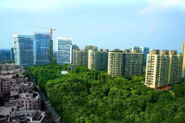 绿化率100%，最有个性的楼盘！