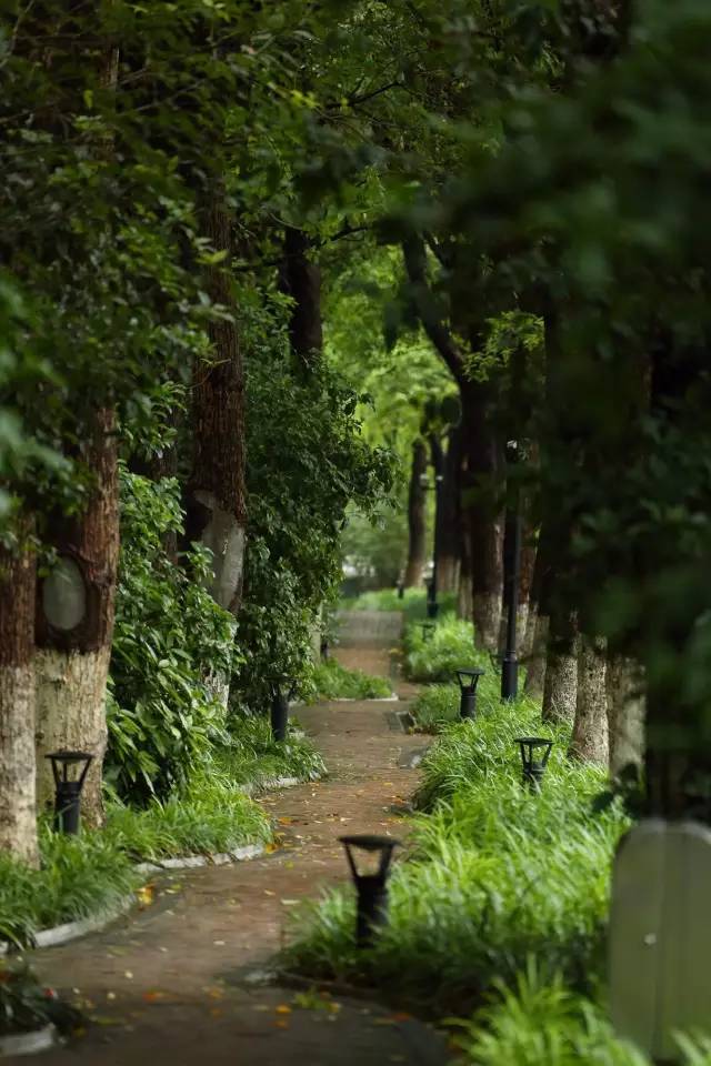 绿化率100%，最有个性的楼盘！