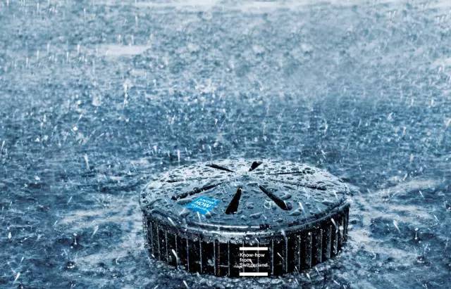 绿化率100%，最有个性的楼盘！