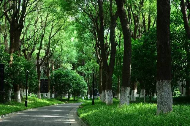 绿化率100%，最有个性的楼盘！