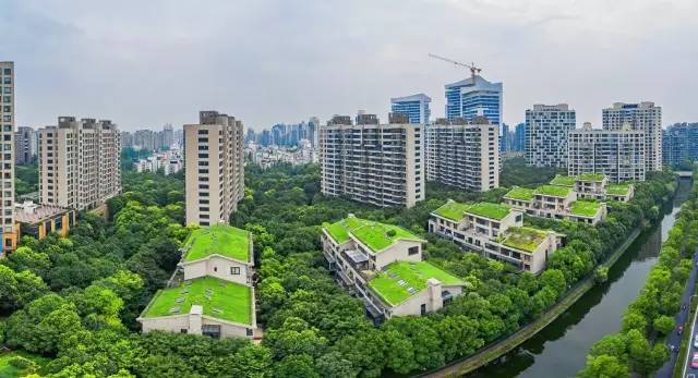 绿化率100%，最有个性的楼盘！