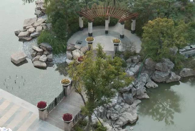 绿化率100%，最有个性的楼盘！