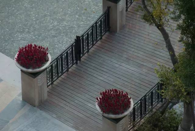 绿化率100%，最有个性的楼盘！