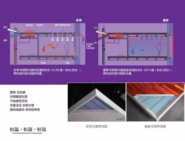 绿化率100%，最有个性的楼盘！