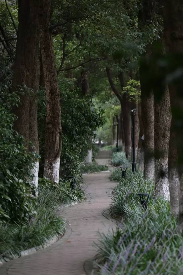 绿化率100%，最有个性的楼盘！